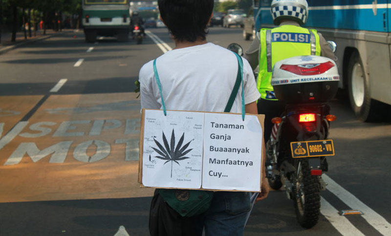 Ilustrasi Ganja Medis