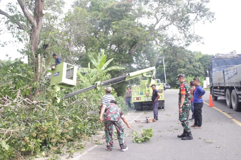 Petugas DLH Aceh Besar yang dikawal oleh personil Dishub, TNI dan Polri unsur Forkopimcam Sukamakmur sedang memangkas pohon yang berada diruas jalan Banda Aceh Medan Gampong Blang Cut, Kecamatan Sukamakmur, Kabupaten Aceh Besar, Rabu (10/5/2023).