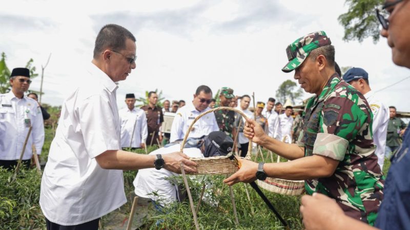 Penjabat Gubernur Aceh, Achmad Marzuki,  didampingi Danrem Teuku Umar Kolonel Inf Riyanto, memanen cabai di lahan Kelompok tani Tueku Umar Farm di Meureubo, Aceh Barat, Rabu (10/5/2023).
