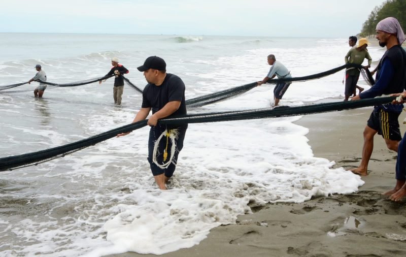 Pj Bupati Aceh Besar, Muhammad Iswanto SSTP MM menarik pukat darat bersama nelayan di perairan pantai Gampong Baro, Kecamatan Mesjid Raya, Aceh Besar, Sabtu (02/09/2023).