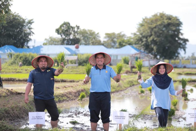 Pj. Bupati Aceh Besar Muhammad Iswanto, S.STP MM Bersama Danlanud Sultan Iskandar Muda (SIM) Kolonel Pnb Yoyon Kuscahyono, S. Sos, dan Forkompida Aceh Besar Melakukan Penanaman Padi bersama di LANUD SIM, Lahan Pertanian Lanud SIM (Belakang Shelter Galaxy) Blang Bintang, Kamis, ( 16/11/2023).