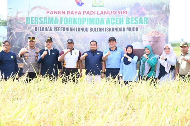 Pj Bupati Aceh Besar Muhammad Iswanto, S.STP, MM bersama Danlanud SIM Kolonel Pnb Yoyon Kuscahyono, SSos melakukan panen padi di area persawahan Lanud SIM, Kecamatan Blang Bintang, Aceh Besar, Selasa (12/02/2024) pagi.