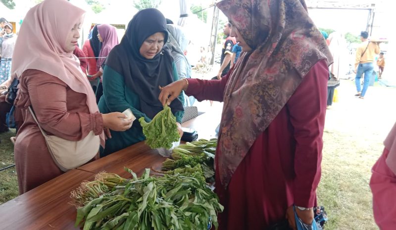 Pasar Tani Aceh Besar Meriahkan Bazar UMKM. Foto: NOA.co.id