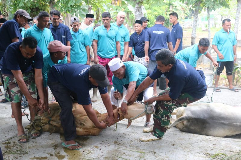 Proses penyembelihan hewan kurban di Masjid Jami' Peudaya (noa.co.id/FA)