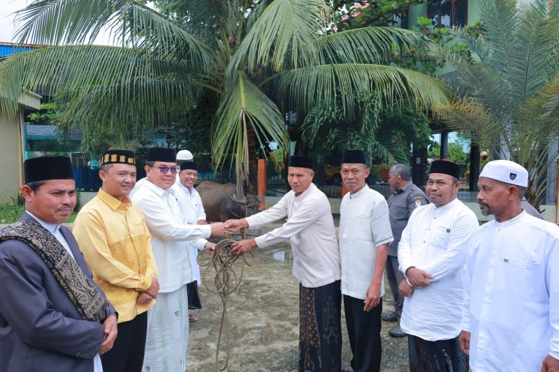 Pemkab Aceh Barat Sembelih 38 Ekor Kerbau untuk Qurban. Foto: Ist
