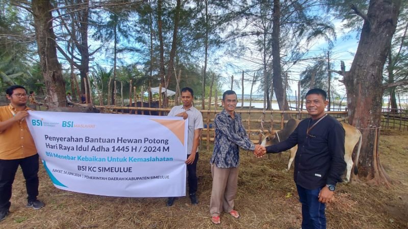 Idul Adha Tahun 1445 Hijriah, BSI Region Aceh Salurkan Hewan Qurban. Foto: dok. NOA.co.id