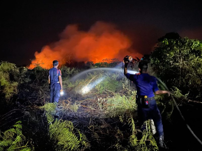 Kebakaran Hutan di Aceh Barat. Foto: BPBD Aceh Barat