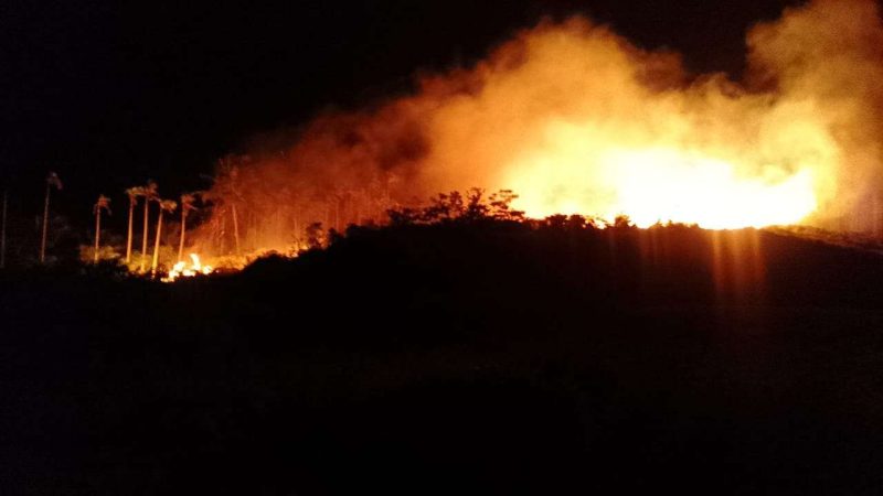 Dua hektar lahan kebun kopi di Kabupaten Bener Meriah terbakar. Peristiwa kebakaran ini terjadi saat wilayah dataran tinggi Gayo itu sedang dilanda musim kemarau. Foto : BPBD