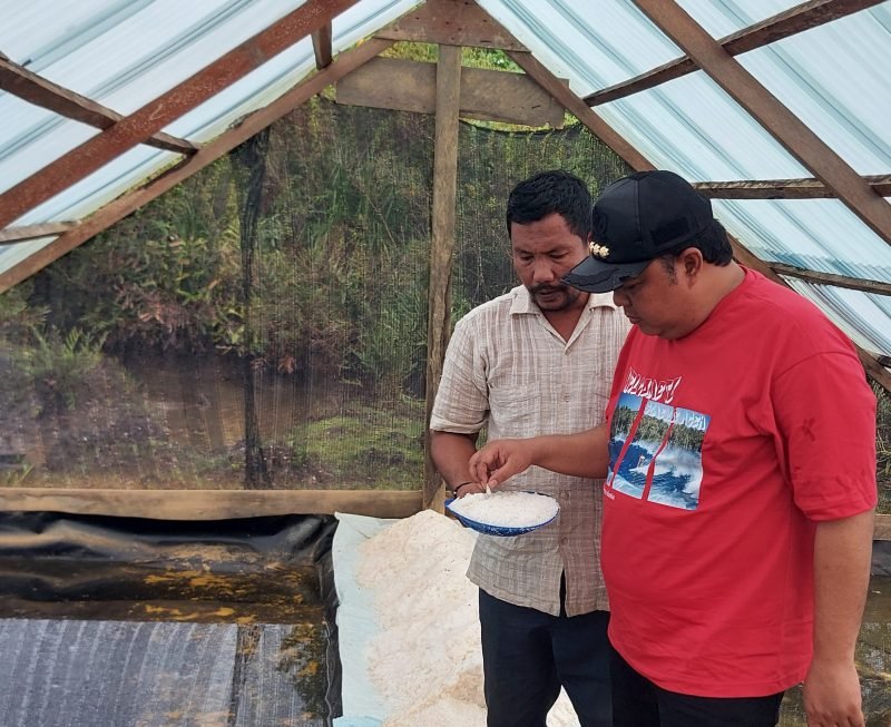 Penjabat Bupati Simeulue Teuku Reza Fahlevi (Pertama Kanan) mengunjungi dan melihat langsung usaha pembuatan garam milik Zulfikar Zaintisa (Pertama Kiri) di Desa Kota Batu, Kecamatan Simeulue Timur, Minggu (18/8/2024).( Foto : Prokopim Simeulue).