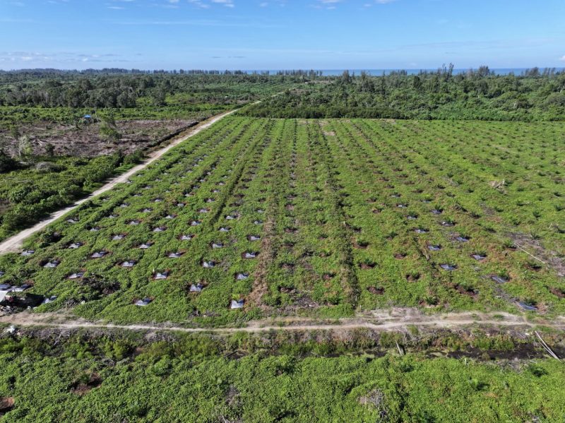 Penulis: Direktur Eksekutif Perkumpulan Forum Bangun Investasi Aceh (For-Bina) Muhammad Nur.S.H