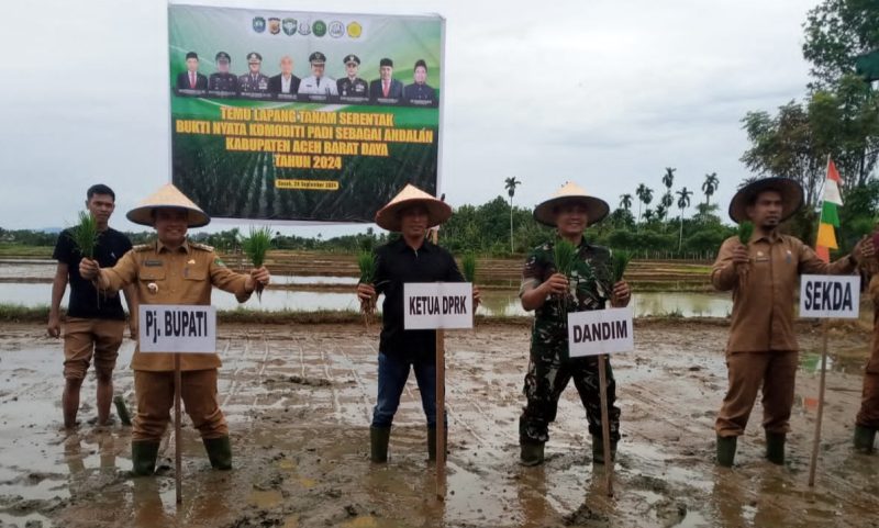 Wakil ketua DPRK Aceh Barat Daya, Mus Seudong ikut menanam padi perdana pada kegiatan tanam serentak perdana tahun 2024. (Foto. Teukunizar/NOA.co.id)