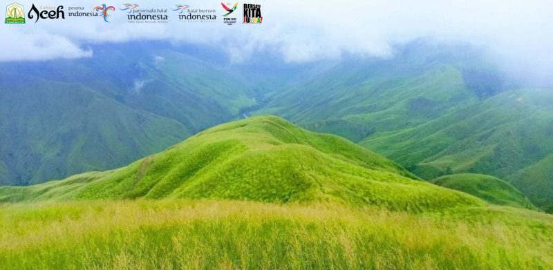 Savana Blang Raweu. Foto: NOA.co.id