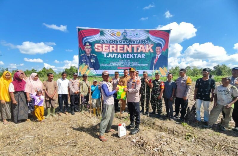Kabag Ren Polres Aceh Utara Kompol Idris memimpin penanaman jagung serentak dalam mendukung ketahanan pangan nasional di wilayah hukum Polsek Langkahan, Selasa (21/1/2025). (Foto: NOA.co.id/IST).
