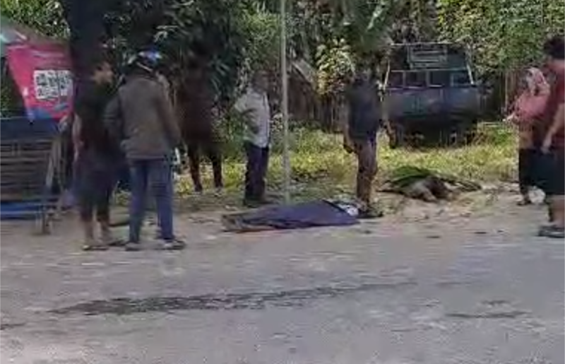 Korban laka lantas meninggal dan tergeletak di jalan Banda Aceh-Medan, Gampong Lumbang Gogo, Kecamatan Padang Tiji, Kabupaten Pidie, Selasa (21/1/2024) (Foto.Amir Sagita.NOA.co.id).