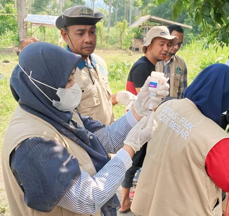 Kepala Bidang Peternakan Dinas Pertanian Aceh Besar Uzir SPt MSi, bersama Petugas Kesehatan Hewan melakukan vaksinasi terhadap ternak masyarakat Blang Bintang, Aceh Besar, Selasa (4/2/2025). Foto: Dok. MC Aceh Besar