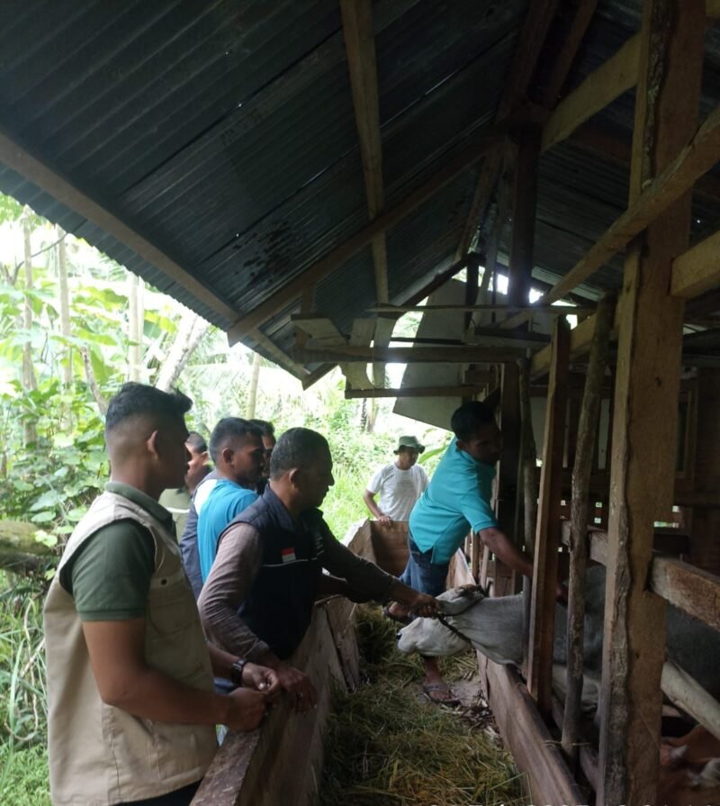 Kepala Bidang Peternakan Dinas Pertanian Aceh Besar, Uzir SPt MSi membantu Satgas PMK menyuntikan vaksin terhadap sapi milik masyarakat Kecamatan Kuta Baro, Kabupaten Aceh Besar, Rabu (26/2/2025). Foto: Dok. MC Aceh Besar