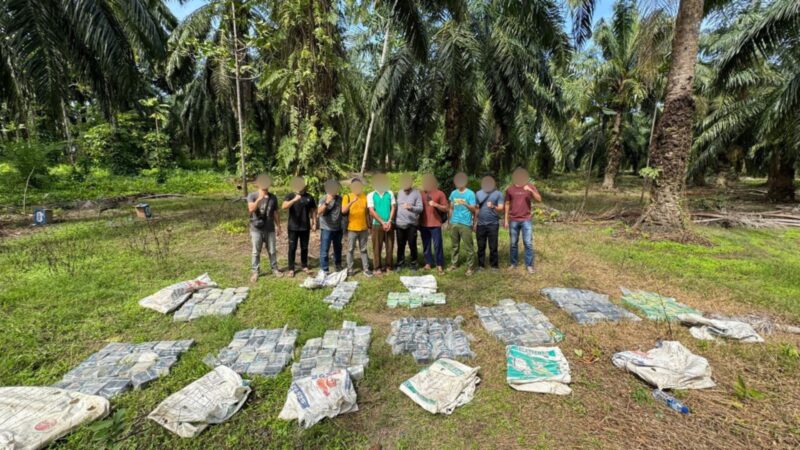 Tim gabungan Kantor Wilayah Direktorat Jenderal Bea Cukai Aceh bersama Polri mengungkap 188 kilogram narkotika jenis sabu-sabu di kebun sawit, Aceh Tamiang, Selasa (25/2/2025). (Foto : NOA.co.id/HO-DJBC Aceh).