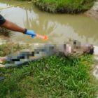 Sosok mayat laki-laki ditemukan di sungai Gampong Pulo Lon, Kecamatan Glumpang Tiga, Kabupaten Pidie, Minggu (23/4/2025) (Foto.Humas Polres Pidie.NOA.co.id)