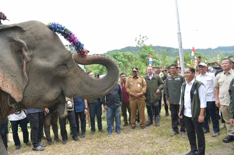 Menhut Raja Juli Antoni saat kunker untuk mitigasi konservasi kawasan satwa gajah liar di CRU, lokasi koridor satwa Provinsi Aceh. Bener Meriah, Kamis (19/12/2024). (Foto : NOA.co.id/HO- Humpro Adpim Aceh).