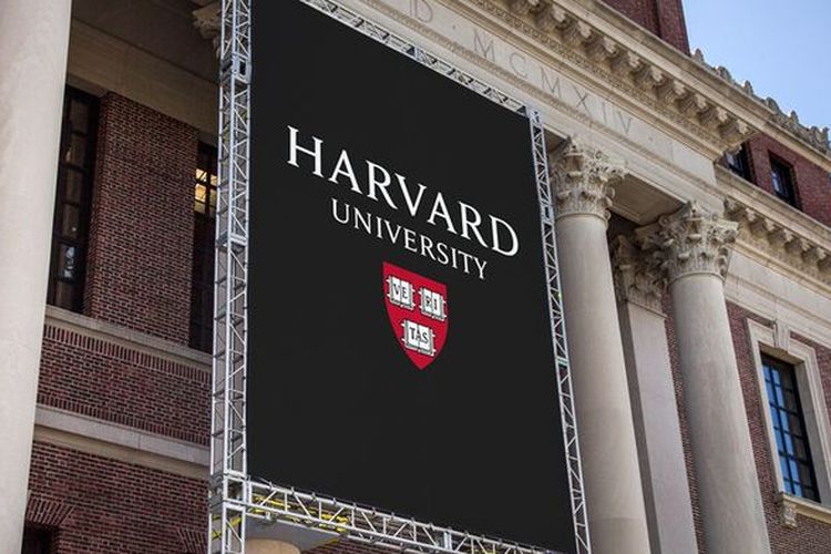 universitas Harvard(Pinterest)