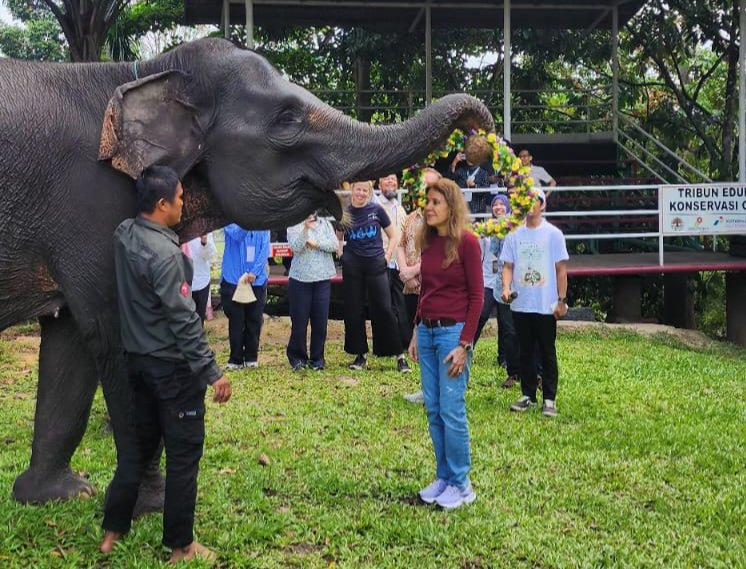 Kunjungan kepala Perwakilan PBB untuk Indonesia,  Gita Sabharwal (Tengah) ke Pusat Konservasi Gajah di Minas. Gajah Sumatra berperan penting menjaga kawanan tetap berada di dalam kawasan hutan serta mencegah konflik antara manusia dan gajah, Riau, Kamis (8/5/2024). (Foto : NOA.co.id/HO-UN Indonesia).