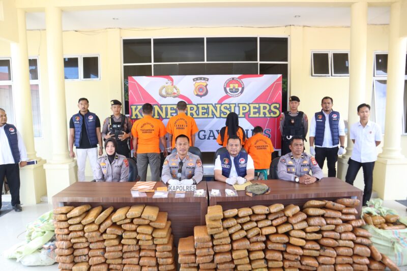 Januari - Mei 2025, Polres Gayo Lues Berhasil Ungkap 12 Kasus Narkotika. Foto: Dok. Humas Polda Aceh