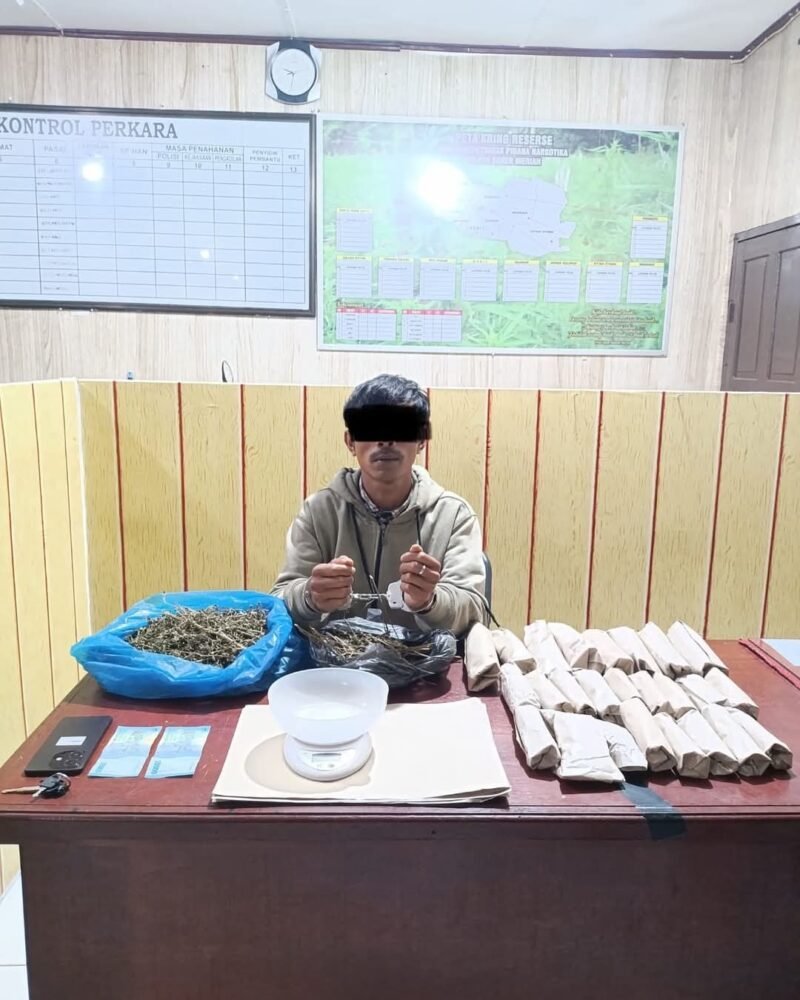 Polres Bener Meriah Ungkap Kasus Narkotika, Mahasiswa Ditangkap dengan 1,3 Kg Ganja. Foto: Dok. Humas Polres Bener Meriah