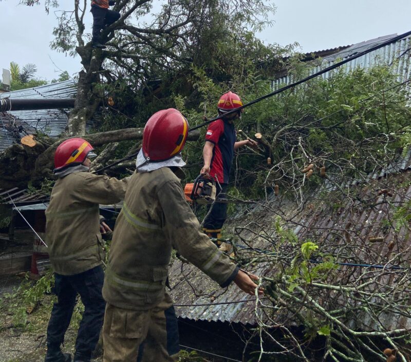 Pohon Tumbang di Sejumlah Titik di Aceh Besar Sebabkan Terganggu Lalu Lintas dan Pemadaman Listrik. Foto: Dok. BPBD Aceh Besar