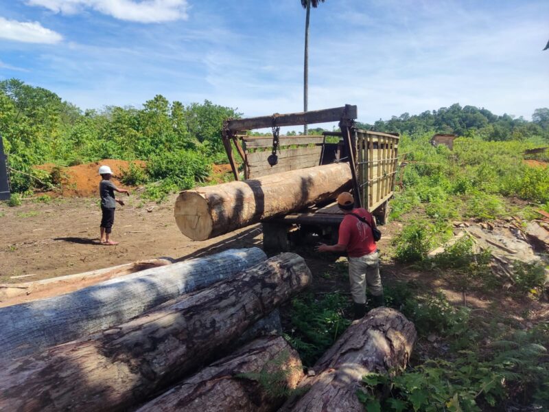 Kayu gelondongan saat diamankan Balai Penegakan Hukum (Gakkum) Wilayah Sumatera, Aceh Tengah, Jumat (4/7/2025). (Foto: NOA.co.id/HO-Dok. Gakkumhut Sumut).