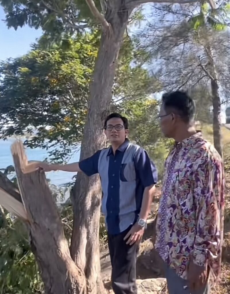 Ketua DPRK Banda Aceh  Irwansyah ST mengunjungi ulee lheue tepatnya di pohon hasan mirip dengan jeju yang baru saja ditebang oleh orang tak dikenal,Sabtu (05/07/2025). Foto:Dok.Irwansyahst/Tiktok