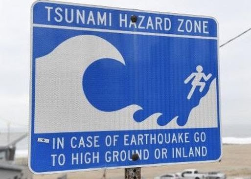 Foto: Ilustrasi peringatan tsunami (AFP/PATRICK T. FALLON)