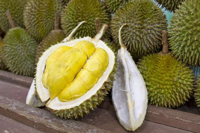 Buah Durian. (Foto : Ilustrasi).