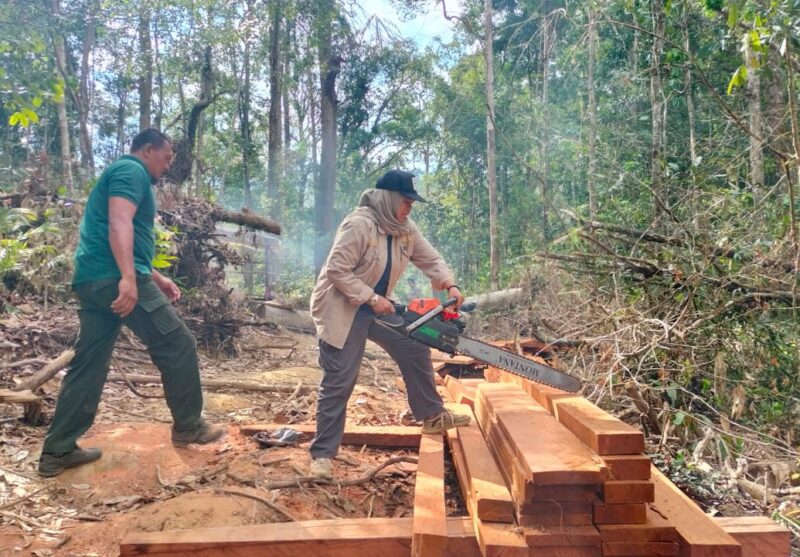 Tim gabungan saat melakukan pemusnahan barang bukti kayu olahan di Kawasan Hutan Desa Blang Puuk Kecamatan Beutong Banggalang, Nagan Raya, Rabu (20/8/2025). (Foto :NOA.co.id/HO-KPH Wil.IV Aceh).