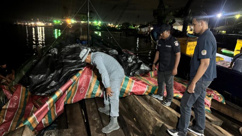 Bakamla RI bersama Kemenhut menggagalkan pengangkutan kayu olahan yang diduga ilegal di Dermaga Sagulung, Batam, Sabtu Malam (6/9/2025). (Foto : NOA.co.id/HO-Bakamla RI).