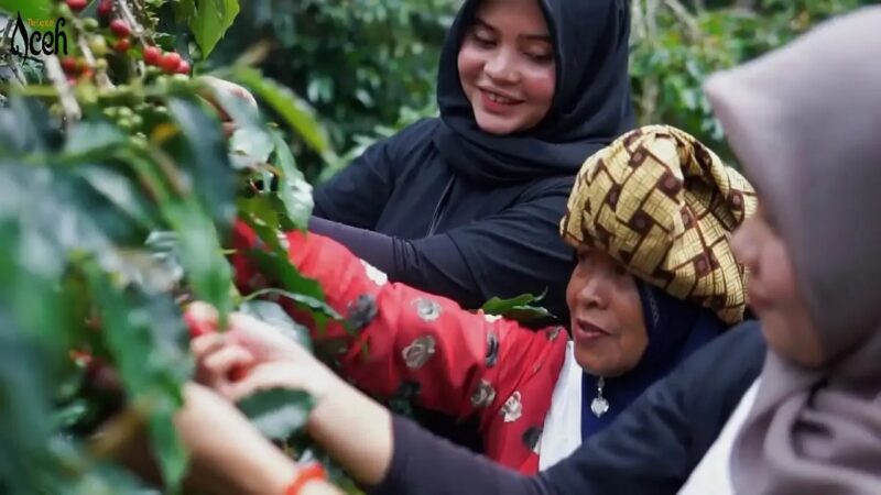 Ibu-ibu ikut Festival Panen Kopi. dok. Ist
