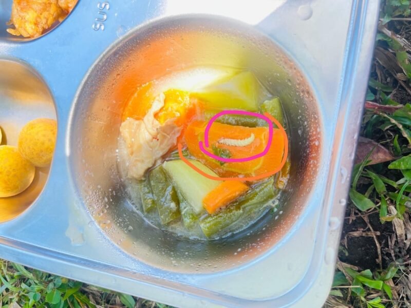 Benda diduga ulat pada paket MBG di salah satu sekolah menengah atas di Aceh Barat Daya. Foto. Dok.Teukunizar/NOA co.id