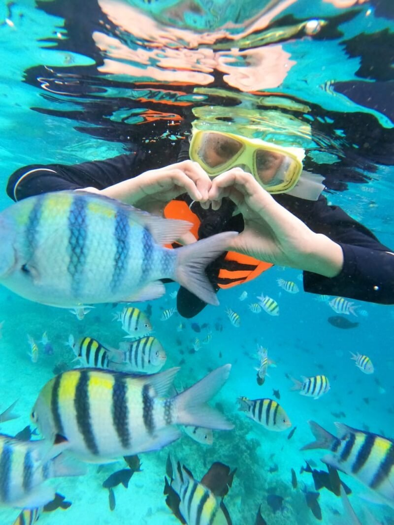 keindahan Bawah Laut Sabang Tumbuh Investasi dan Harapan Baru. Selasa (11/11/2025). Foto : Dok. Aininadhirah/Noa.co.id