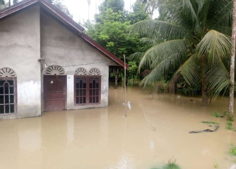 Kondisi Rumah Warga terendam banjir di Desa Pasie Geulima, Kecamatan Teunom, Aceh Jaya. Foto Dok. Kepala Desa setempat. Selasa (18/11/2025). Foto: Dok. Sanusi/NOA.co.id