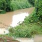 Hujan deras mengguyur wilayah Kecamatan Setia Bakti, Kabupaten Aceh Jaya, menyebabkan banjir di Desa Gampong Lhok Bot, Selasa, (4/11/2025). Foto: Dok. Sanusi/NOA.co.id