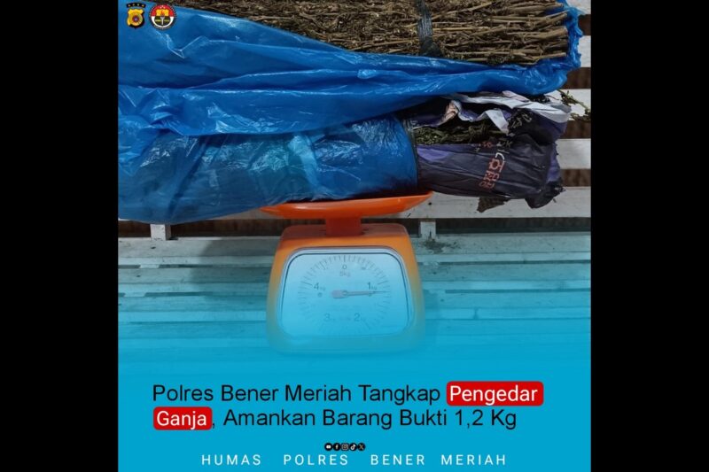 Petugas berhasil mengamankan seorang pria yang diduga sebagai pengedar ganja beserta barang bukti seberat 1,2 kilogram di Kampung Rime Raya, Kecamatan Pintu Rime Gayo. Dok. Polres Bener Meriah