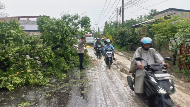 Polsek Dewantara Gerak Cepat Amankan Jalur Usai Pohon Tumbang. Dok. Polres Lhokseumawe