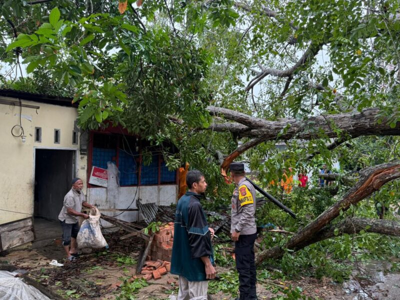 Pohon Tumbang Tutup Jalan, Tim Pamapta Polres Lhokseumawe Bergerak Cepat Datangi Lokasi. Dok. Polres Lhokseumawe