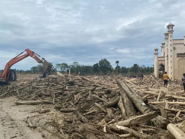 Progres pembersihan material kayu terbawa banjir Sumatra (Dok.HO/Kemenhut)