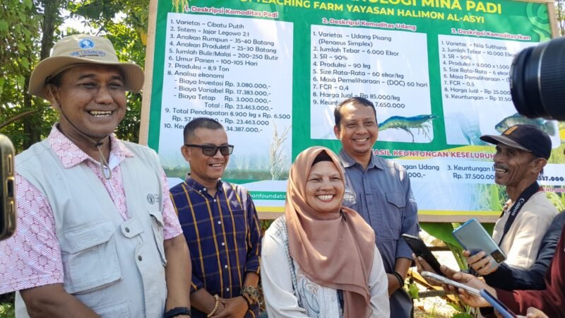 Panen perdana minapadi di lahan 7.000 m² milik Teaching Farm Yayasan Halimon Al-Asyi, Aceh Besar, Sabtu (24/01/2026). Foto: Dok. Istimewa