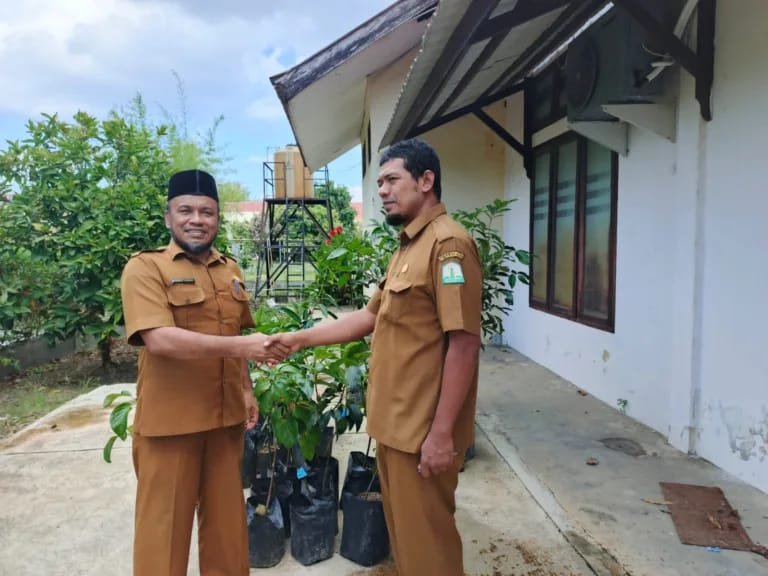 Sekretaris Disdik Dayah Banda Aceh, Rahmat Kadafi, menerima 80 bibit pohon dari Distanbun Aceh untuk program penghijauan di lingkungan dayah Kota Banda Aceh, Selasa (13/01/2026). Foto: Dok. Diskominfo Kota Banda Aceh
