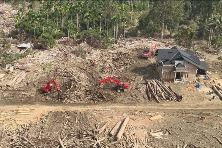 Kementerian Kehutanan mempercepat pemanfaatan kayu hanyutan pascabencana hidrometeorologi di Aceh Utara dan Sumatera Utara, Kamis (8/1/2026). (Foto : NOA.co.id/HO-Kemenhut).