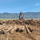 Alat berat dikerahkan untuk membantu pembersihan material potongan kayu yang menutupi areal persawahan pascabanjir di Toweran, Kecamatan Lut Tawar, Kabupaten Aceh Tengah, Provinsi Aceh, Minggu (22/2/2026). (Foto : NOA.co.id/HO-BNPB).