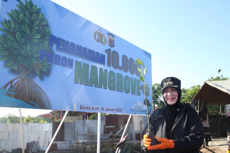 Wali Kota Banda Aceh Illiza Sa’aduddin Djamal menanam pohon mangrove di pesisir Gampong Alue Naga, Kecamatan Syiah Kuala, Banda Aceh, Jumat (30/1/2026). Foto: Dok. Prokopim Kota Banda Aceh