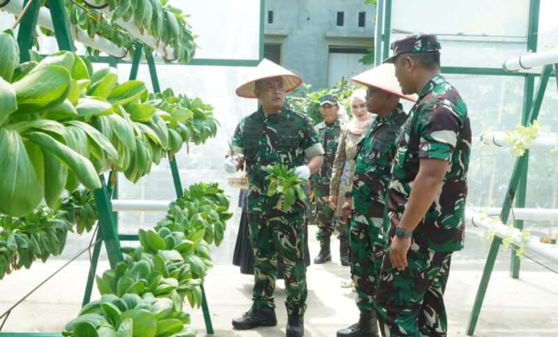 Kepala Staf Kodam Iskandar Muda, Brigjen TNI Dwi Sasongko saat meninjau kawasan inovasi terpadu Dandim 0110 Abdya. Foto. Dok. Teukunizar/NOA.co.id