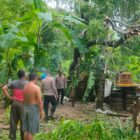 Personel Polsek Muara Satu saat menangani peristiwa pohon tumbang yang menimpa bagian dapur rumah warga di Dusun II Tgk. Mon Carak, Desa Blang Panyang, Kecamatan Muara Satu, Kota Lhokseumawe, Kamis (9/4/2026). Dok. Ist